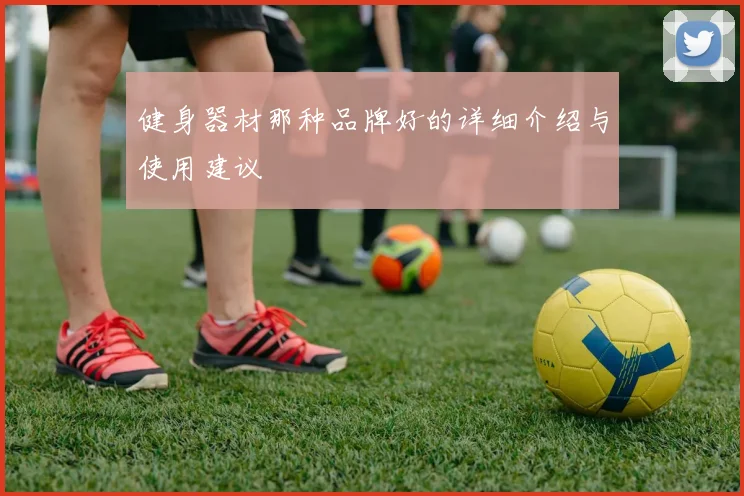 健身器材那种品牌好的详细介绍与使用建议