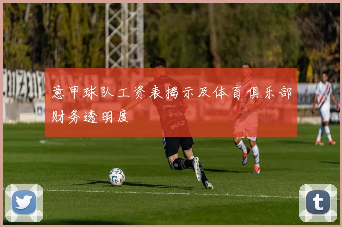 意甲球队工资表揭示及体育俱乐部财务透明度