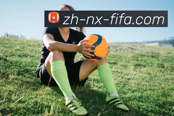 世界杯赛程服务体系